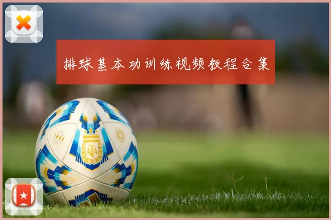 排球基本功训练视频教程合集