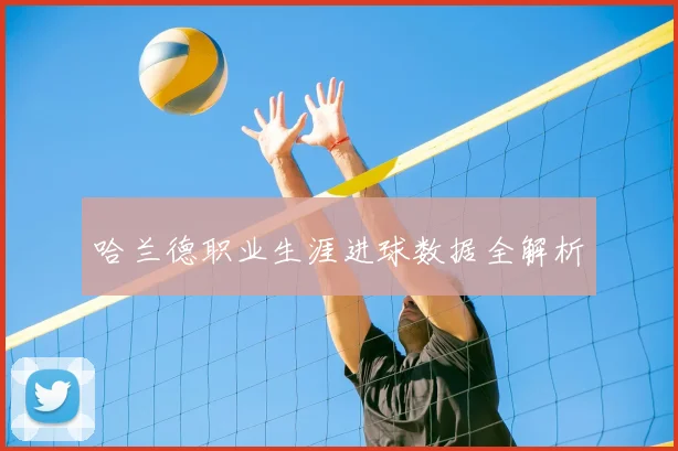 哈兰德职业生涯进球数据全解析